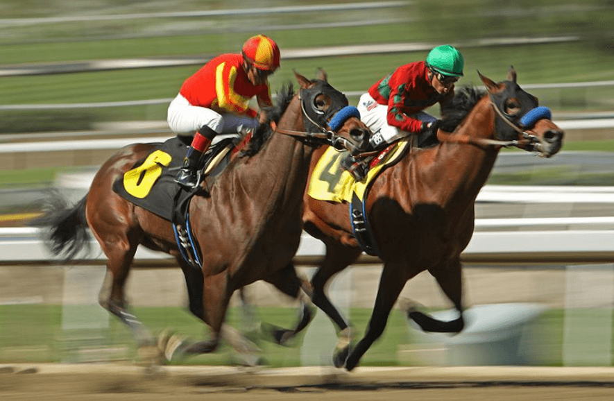 Horse Racing Legends: Famous Trainers and Horses