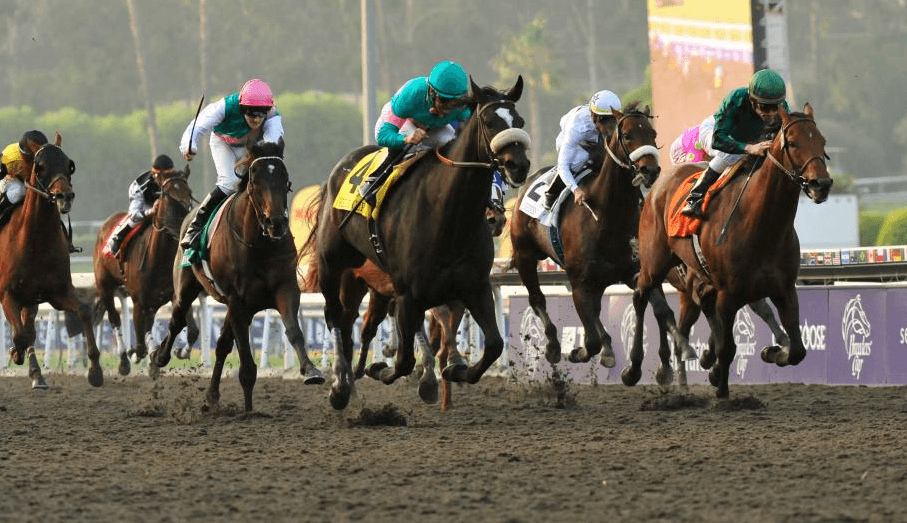 Horse Racing Legends: Horses That Changed the Sport