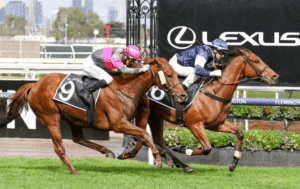 Horse Racing Legends: Horses That Shaped the Sport